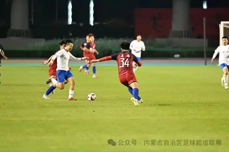 韩国人与母马配对